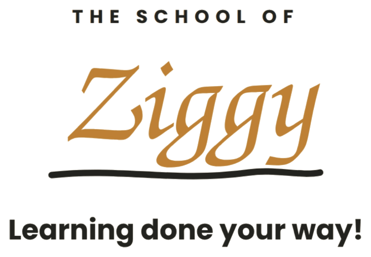 The School of Ziggy — learning done your way
